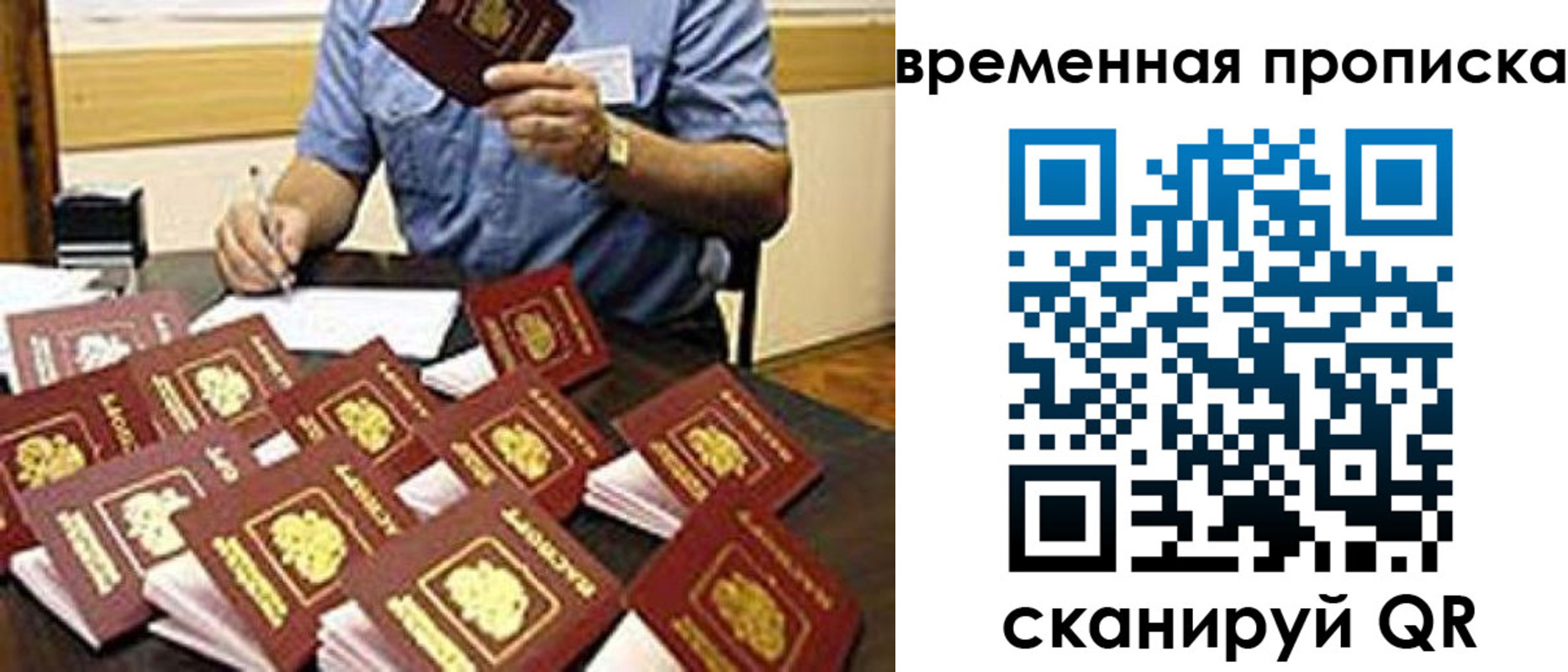 прописка для школы в Алексеевке